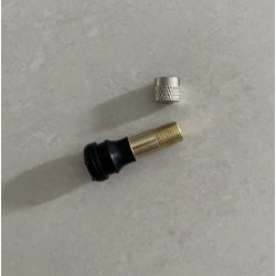 Hosszabbitott levegoszelep Segway ZT3, Segway Max G3 vagy hasonlo  - 3 Kompatibilitas: Segway ZT3, Segway Max G3 (tubeless) kere