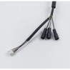 Cable específico para motor de patinete Ninebot Max o modelo similar, recambio de conexión Segway - Ninebot - 2 Compatible con p