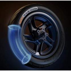 Kompletan prednji obruč s kočionim diskom za Segway F2, F2 Plus, F2 Pro ili slično - 10x2,5 inča Segway - Ninebot - 6 Kompletan 