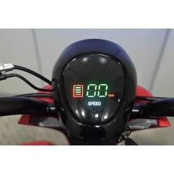 Four-wheel foldable electric scooter with chair for elderly Segway - Ninebot - 6  