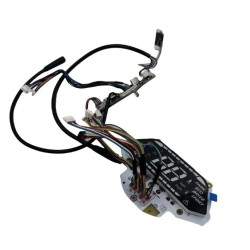 Screen for Segway P100S without housing - replacement parts Segway - Ninebot - 3
